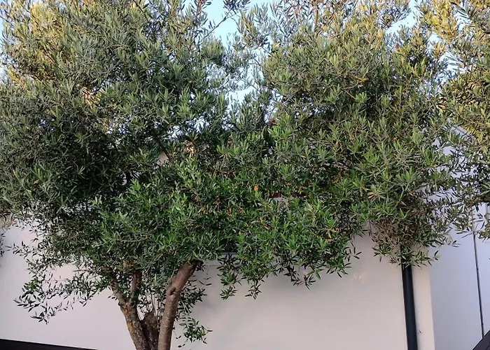 Sunrise Wellbeing Mobile For Mindful, Vegetarian, Active Rest, Just 35 Meters From The Sea *